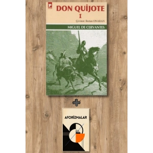 Don Quijote 1