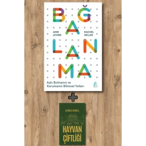 Bağlanma