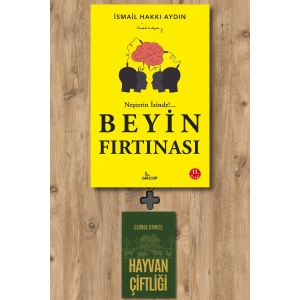 Beyin Fırtınası