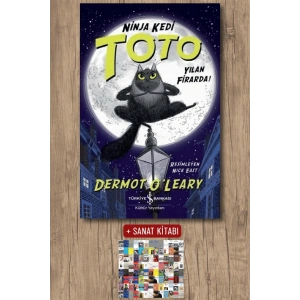 Ninja Kedi Toto