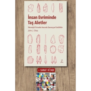 İnsan Evriminde Taş Aletler