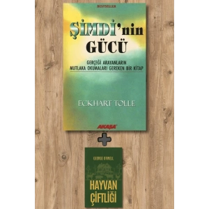 Şimdi’nin Gücü