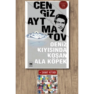 Deniz Kıyısında Koşan Ala Köpek