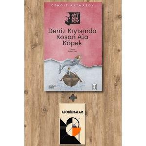 Deniz Kıyısında Koşan Ala Köpek