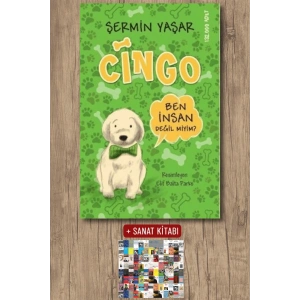 Cingo - Ben İnsan Değil miyim?