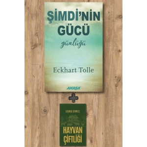 Şimdinin Gücü Günlüğü