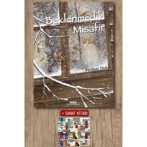 Beklenmedik Misafir