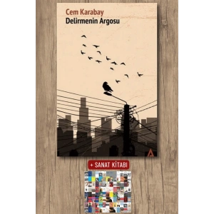 Sanat Kitabı + Delirmenin Argosu / Cem Karabay