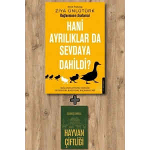 Hani Ayrılıklar da Sevdaya Dahildi?