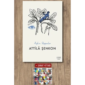 Aykırı Üçgenler / Attila Şenkon + Sanat Kitabı
