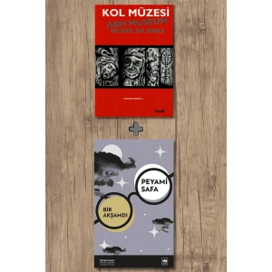 Bir Akşamdı