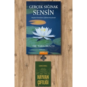 Gerçek Sığınak Sensin