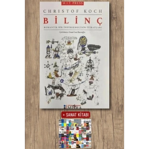 Bilinç - Romantik Bir İndirgemecinin İtirafları