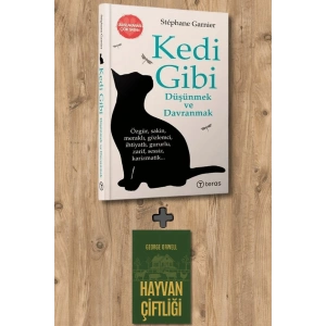 Kedi Gibi Düşünmek ve Davranmak