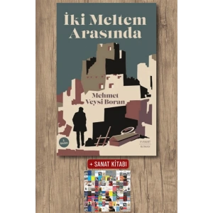 İki Meltem Arasında / Mehmet Veysi Boran + Sanat Kitabı