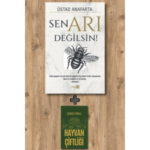 Sen Arı Değilsin