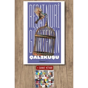 Sanat Kitabı + Çalıkuşu / Reşat Nuri Güntekin