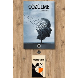 Çözülme