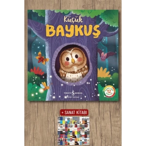 Küçük Baykuş