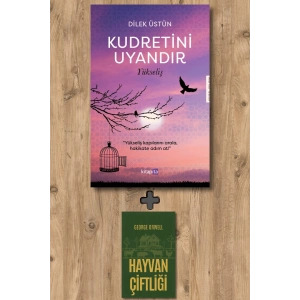 Kudretini Uyandır - Yükseliş