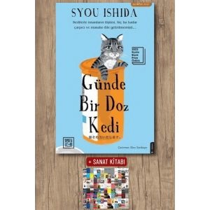 Sanat Kitabı + Günde Bir Doz Kedi / Syou Ishida
