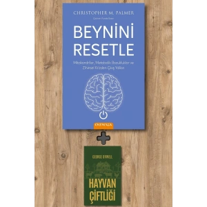 Beynini Resetle