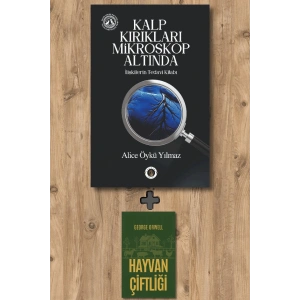 Kalp Kırıkları Mikroskop Altında