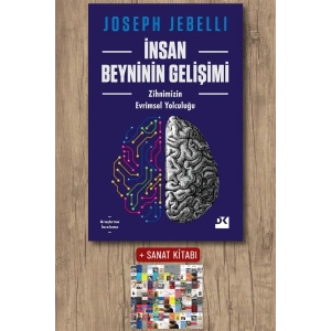 İnsan Beyninin Gelişimi