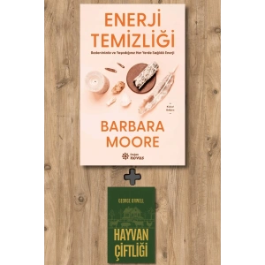 Enerji Temizliği