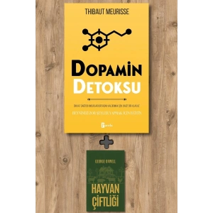 Dopamin Detoksu