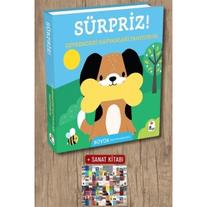 Sanat Kitabı + Sürpriz! - Çevremdeki Hayvanları Tanıyorum (Ciltli) / Kolektif