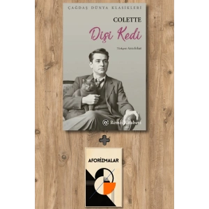 Dişi Kedi