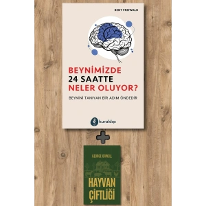 Beynimizde 24 Saatte Neler Oluyor?