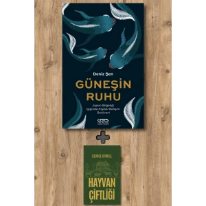 Güneşin Ruhu