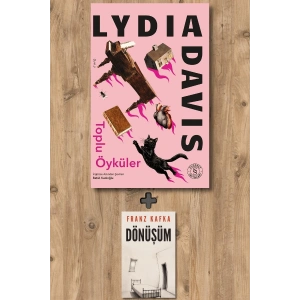 Lydia Davis - Toplu Öyküler (Ciltli) / Lydia Davis + Sanat Kitabı