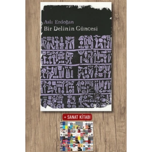 Bir Delinin Güncesi / Aslı Erdoğan + Sanat Kitabı