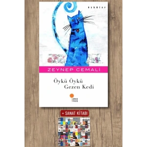 Öykü Öykü Gezen Kedi
