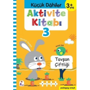 Aktivite Kitabı 3 - Küçük Dahiler 3+Yaş