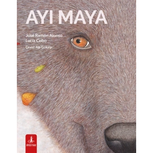 Ayı Maya