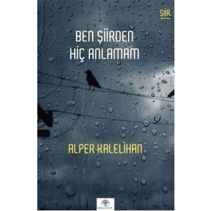 Ben Şiirden Hiç Anlamam