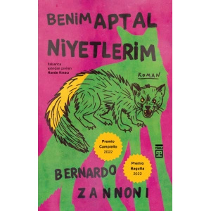 Benim Aptal Niyetlerim