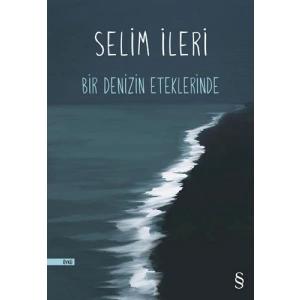 Bir Denizin Eteklerinde