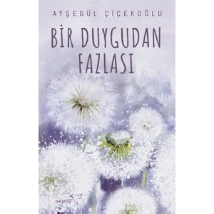 Bir Duygudan Fazlası
