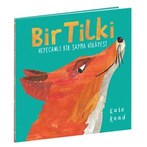 Bir Tilki