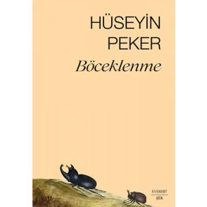 Böceklenme