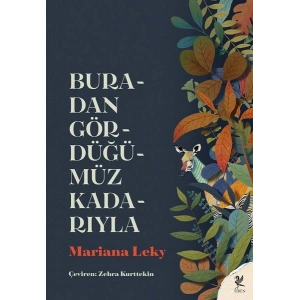 Buradan Gördüğümüz Kadarıyla