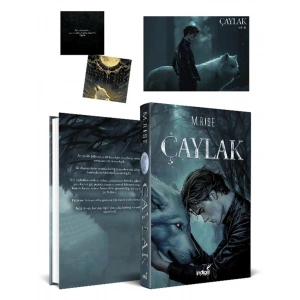 Çaylak (Ciltli)