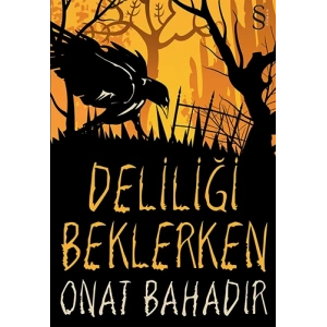Deliliği Beklerken
