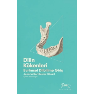 Dilin Kökenleri