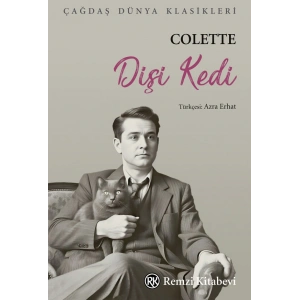 Dişi Kedi
